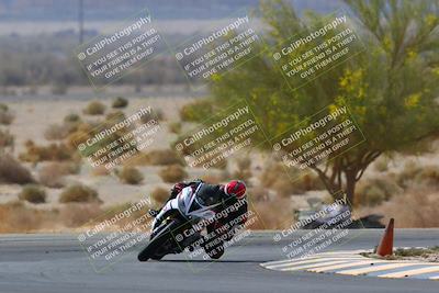 media/Apr-10-2022-SoCal Trackdays (Sun) [[f104b12566]]/Turn 5 Tree of Life (1040am)/